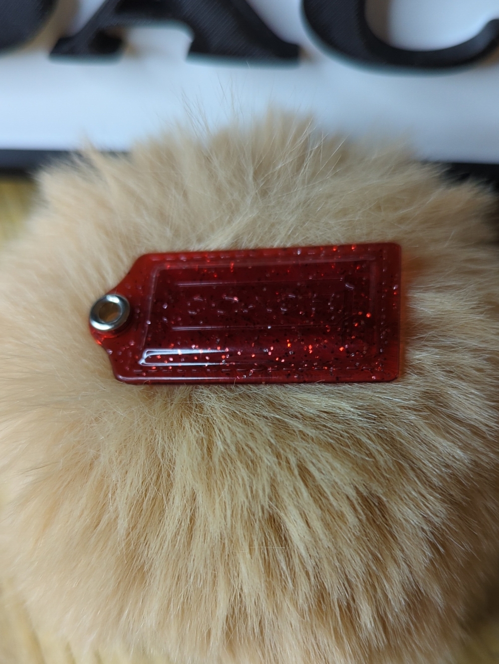 (0050) Coach Read Acrylic And Silver Glitter Hang Tag